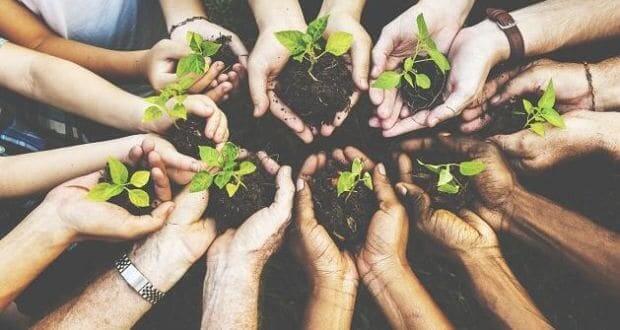 corporate social responsibility and customer loyalty