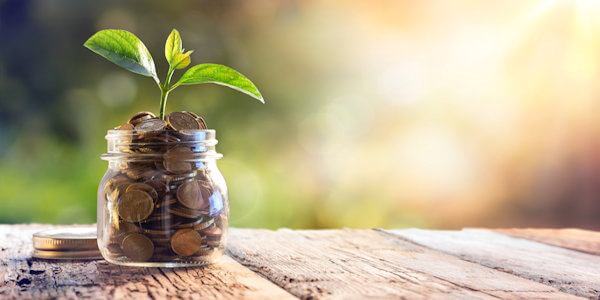 Plant growing out of money, symbolizing business growth and investment in customer loyalty programs
