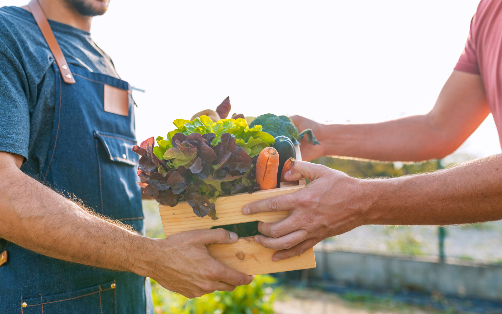 Two hands holding a box of produce. 