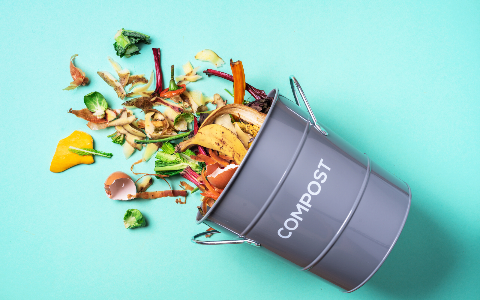 Compost bin in front of a blue background, food scraps spilling out. 